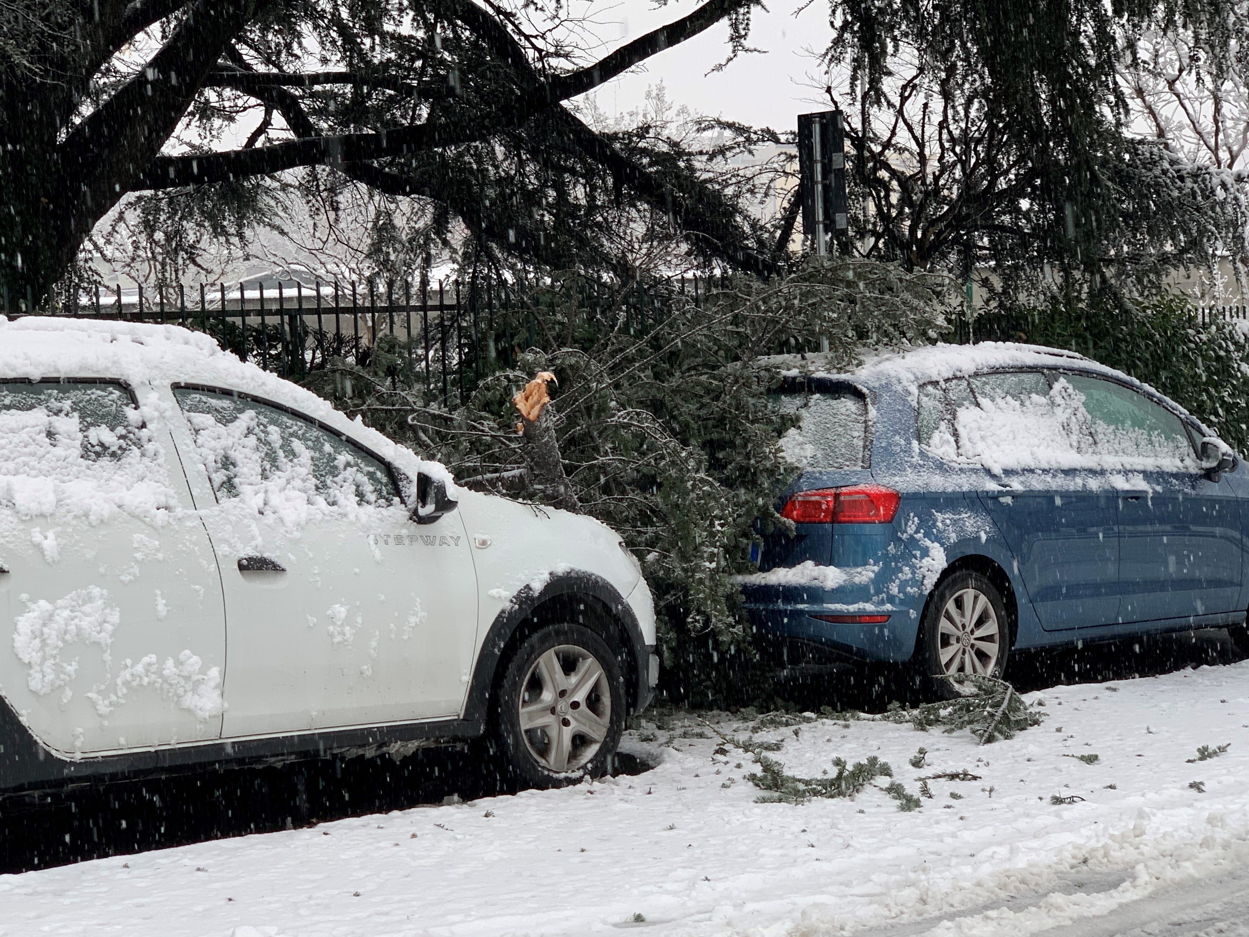 Neve, albero caduto sulle auto in via Pagani. Incidenti in Cassina, Origgio e Lazzate