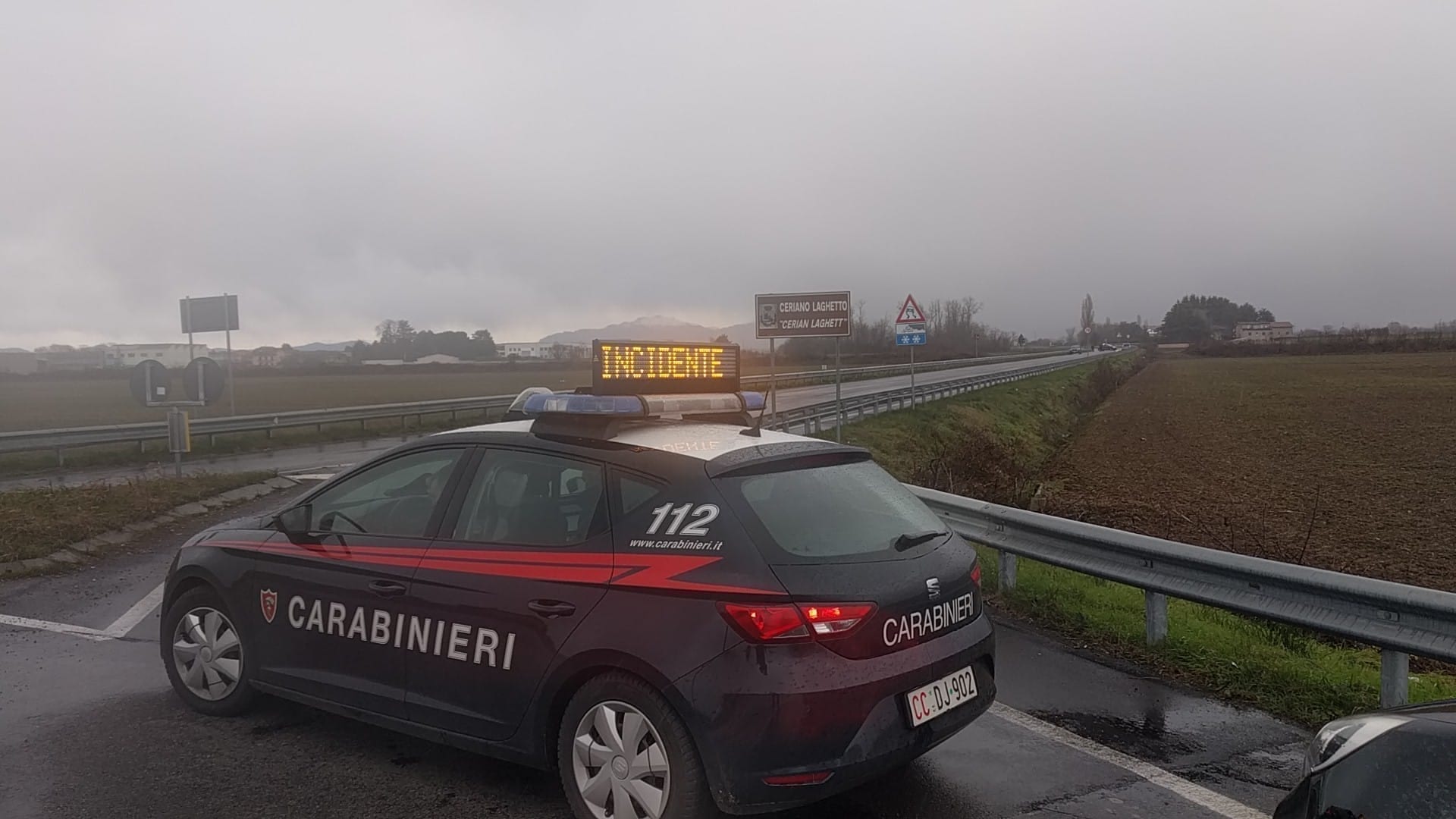 Incidente in periferia: Dacia contro un cinghiale. Donna ferita e animale morto