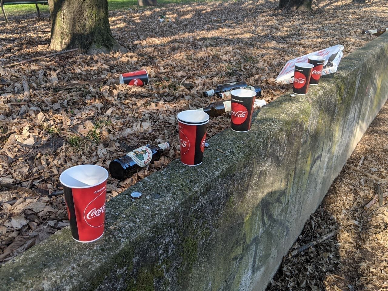 Festino alcolico tra parco e parcheggio: lo raccontano bicchieri e bottiglie