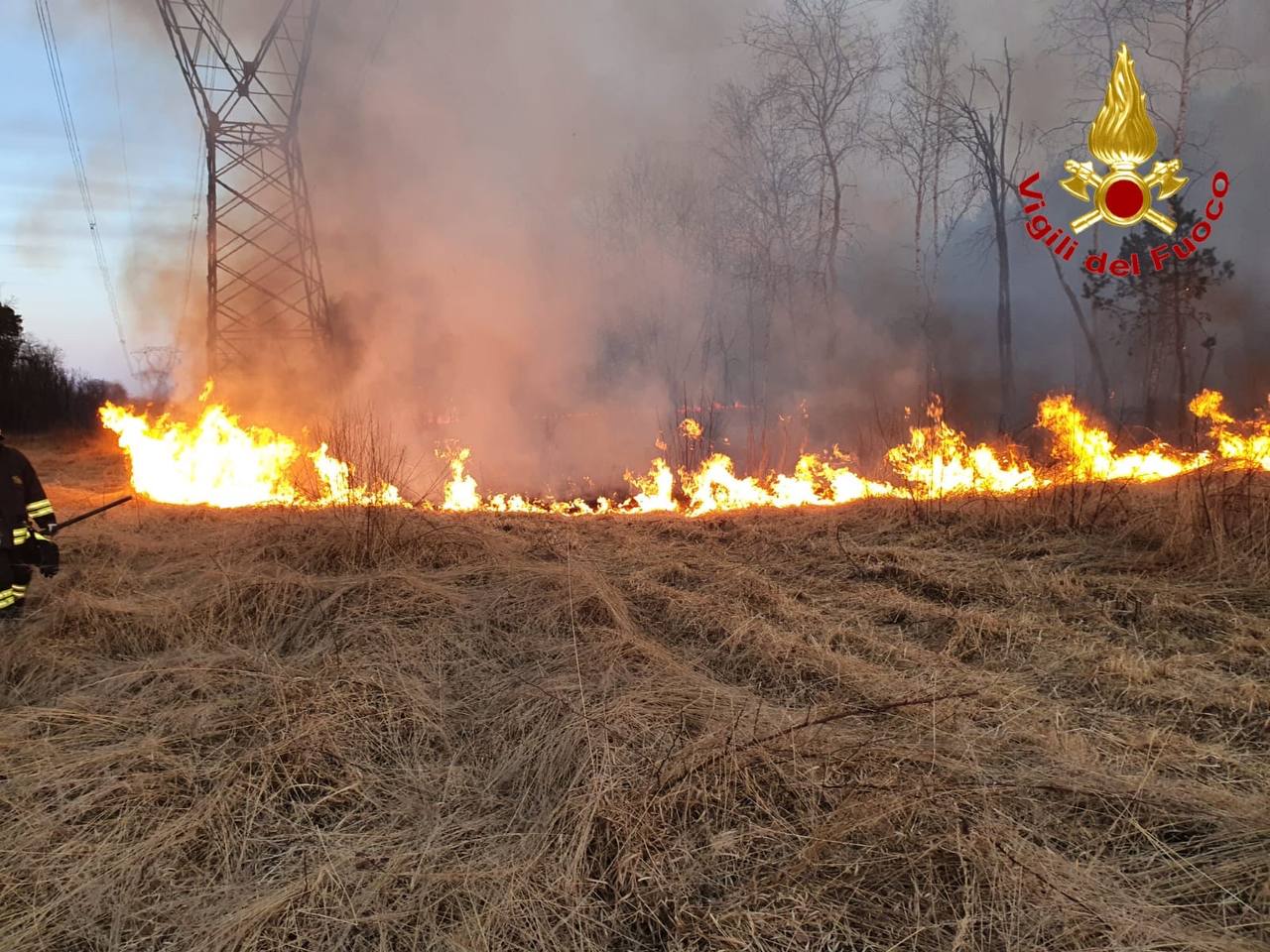 Alto rischio incendi boschivi: divieto accendere fuochi a 100 metri dal verde
