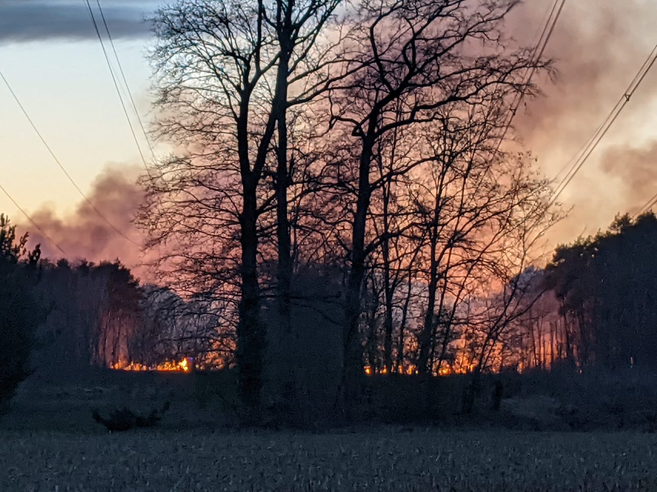 Incendio nel Parco Groane tra Cogliate e Misinto: colonna di fumo visibile da Saronno (foto e video)