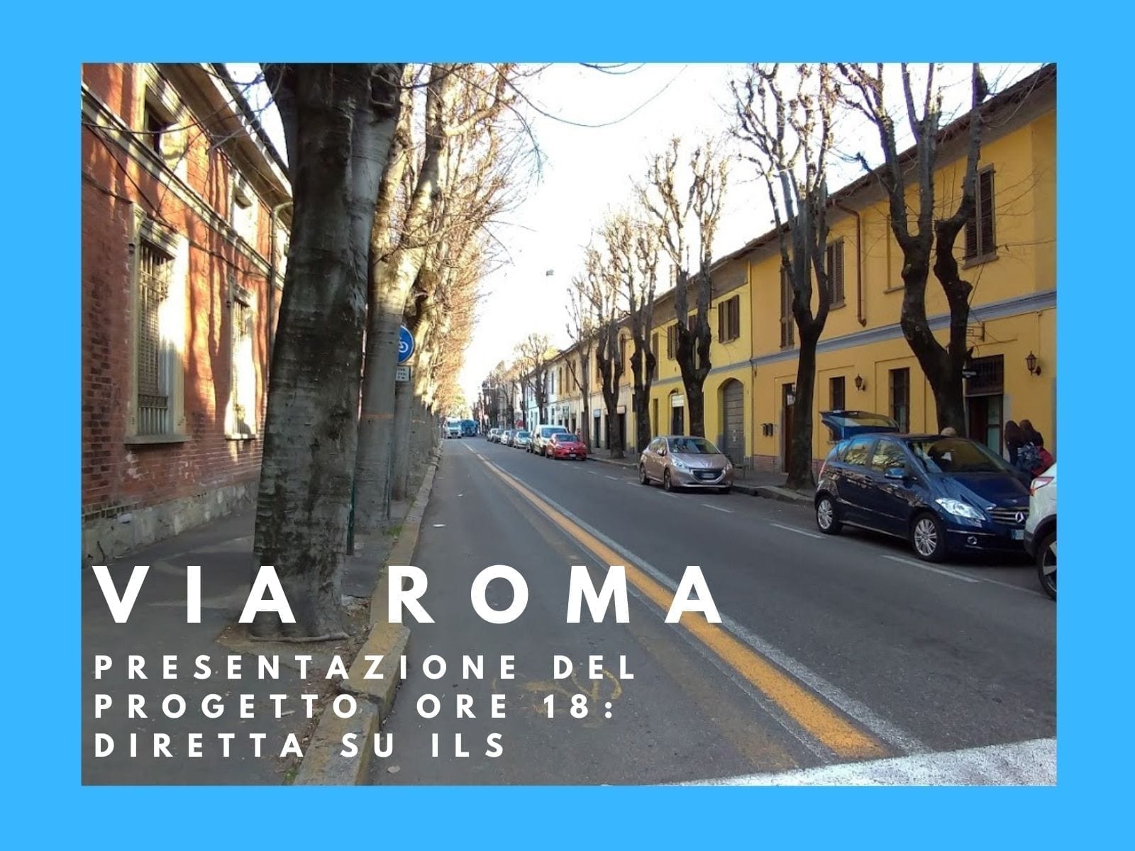 Per via Roma un progetto che salva i bagolari: presentazione alle 18 in diretta