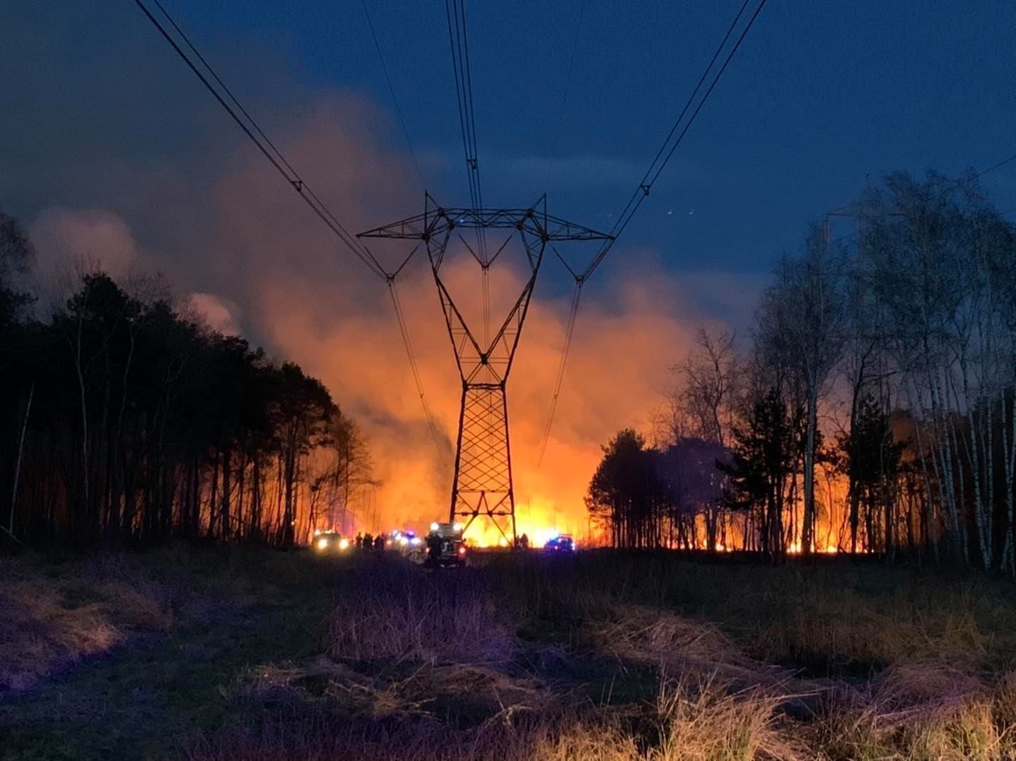 Incendio bosco Cogliate, bilancio pesante: in cenere quasi due ettari
