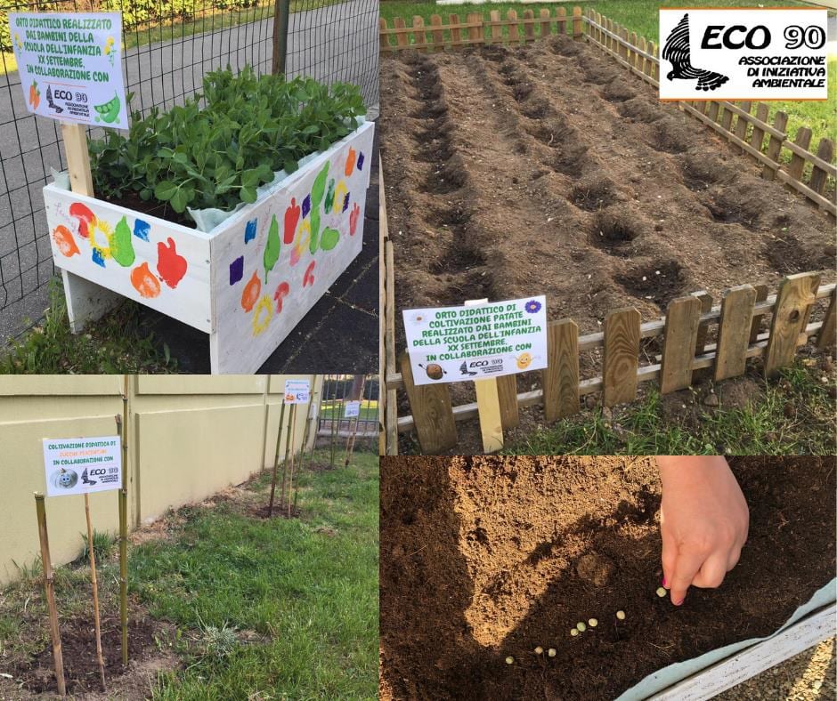 Eco 90 – Uboldo:  carote, piselli, spinaci, patate e zucche piantate a scuola con la solidarietà