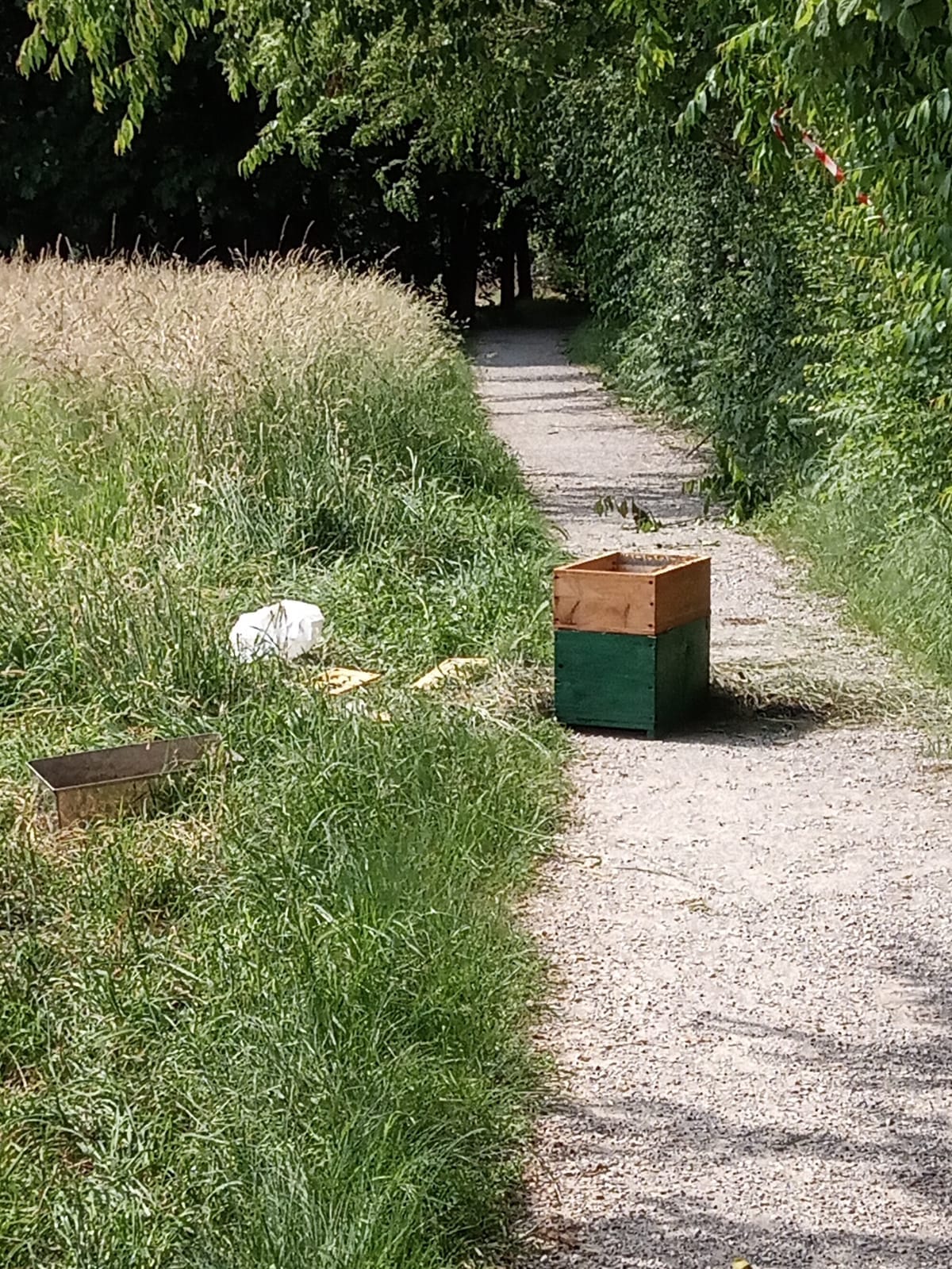 Gerenzano, raid vandalico contro le arnie delle api al Parco Mughetti