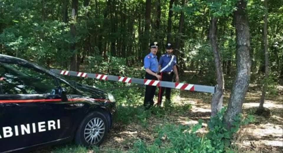 Inseguimento fra Cogliate e Ceriano: Peugeot abbandonata alle porte del Parco Groane