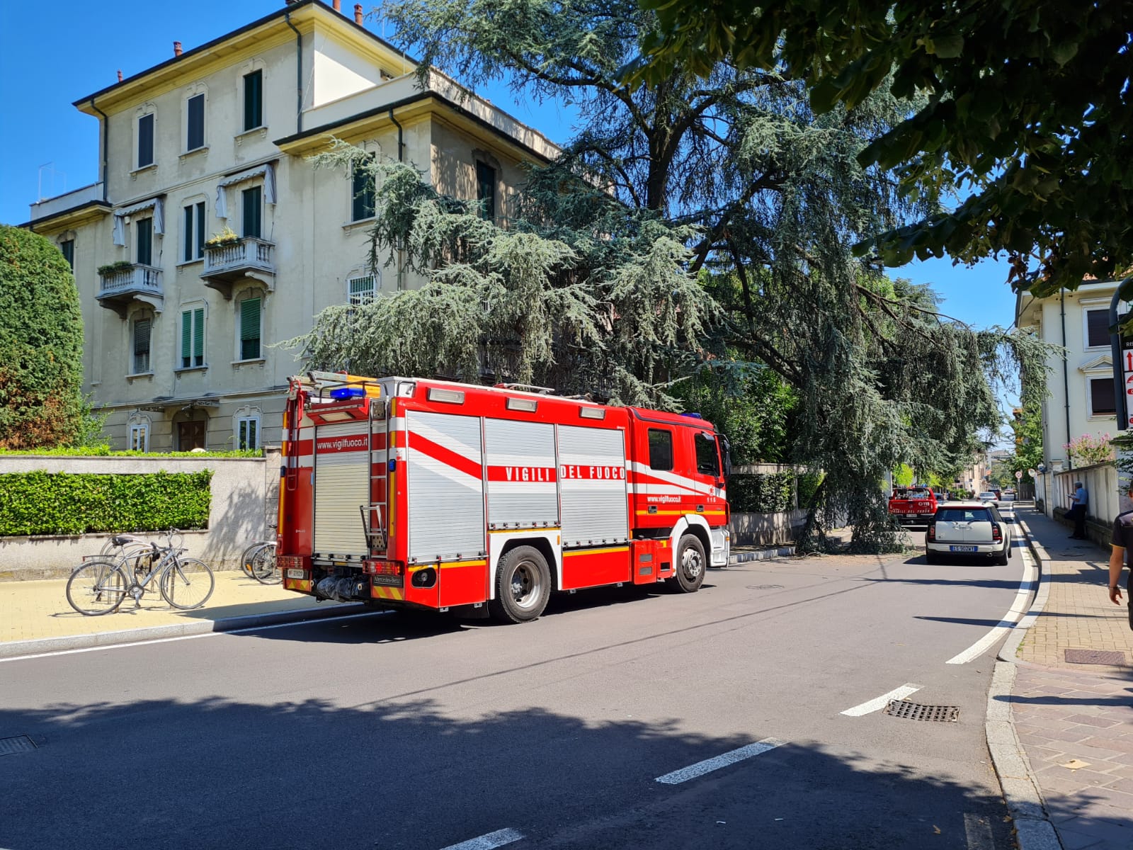 Saronno, ramo pericolante in via Cantore: pompieri al lavoro