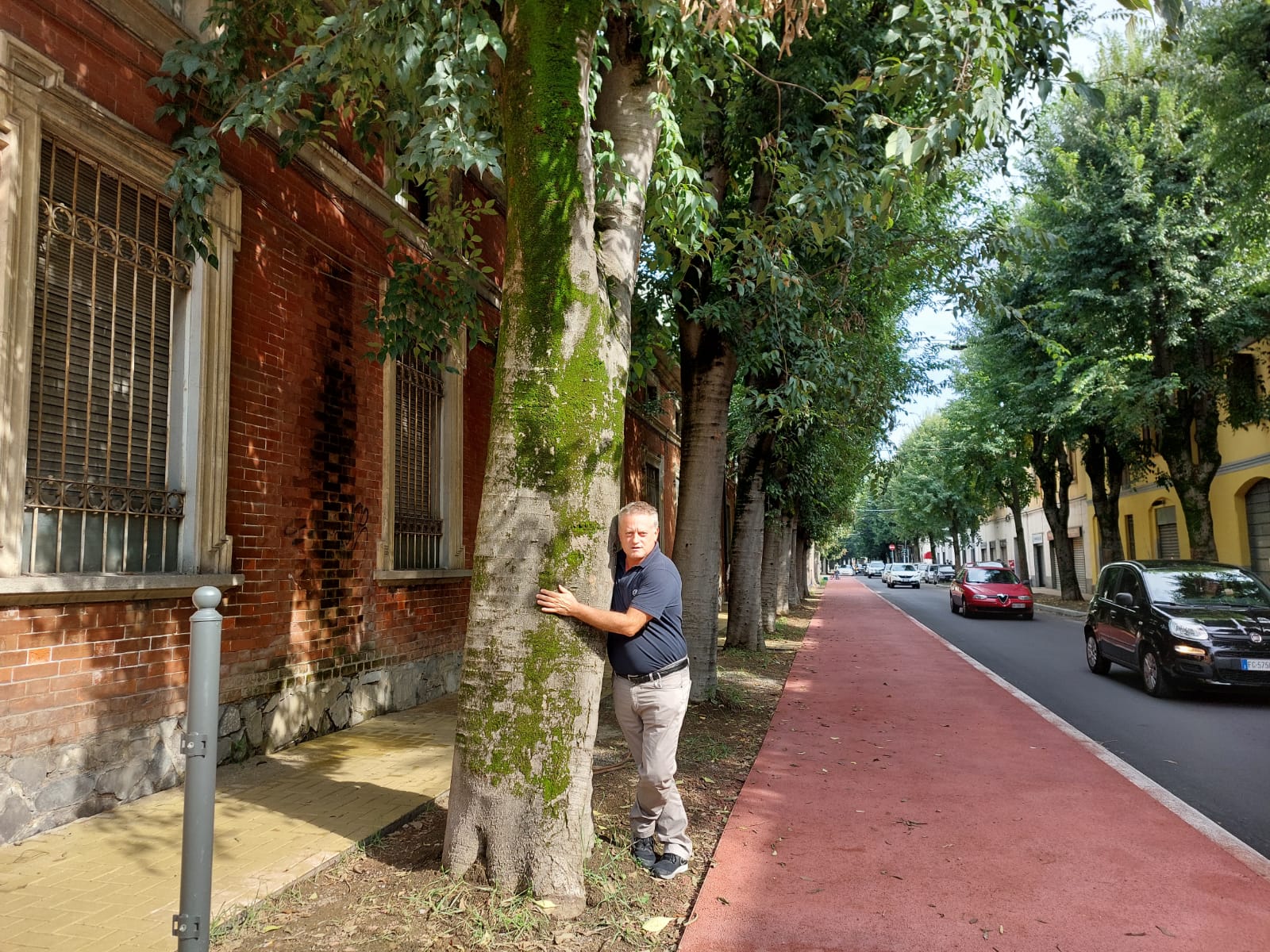 Via Roma, Paleardi: “I saronnesi veri vogliono gli alberi”