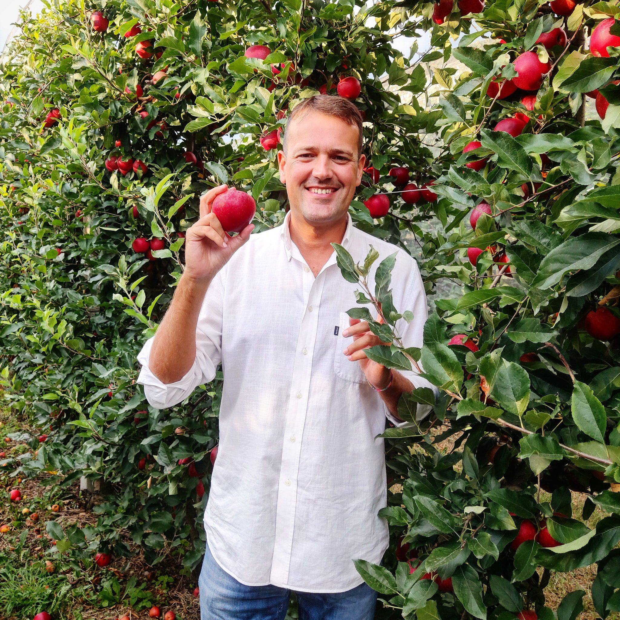 Ceriano Laghetto: al Frutteto è iniziata la raccolta. Con 600 mele solidali