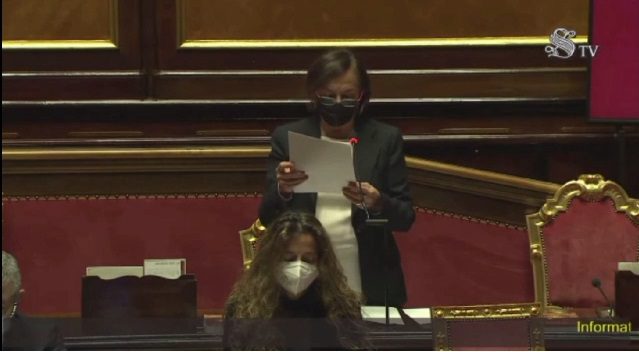 Il ministro Lamorgese parla dei Telos al corteo “no green pass” in Senato (video)
