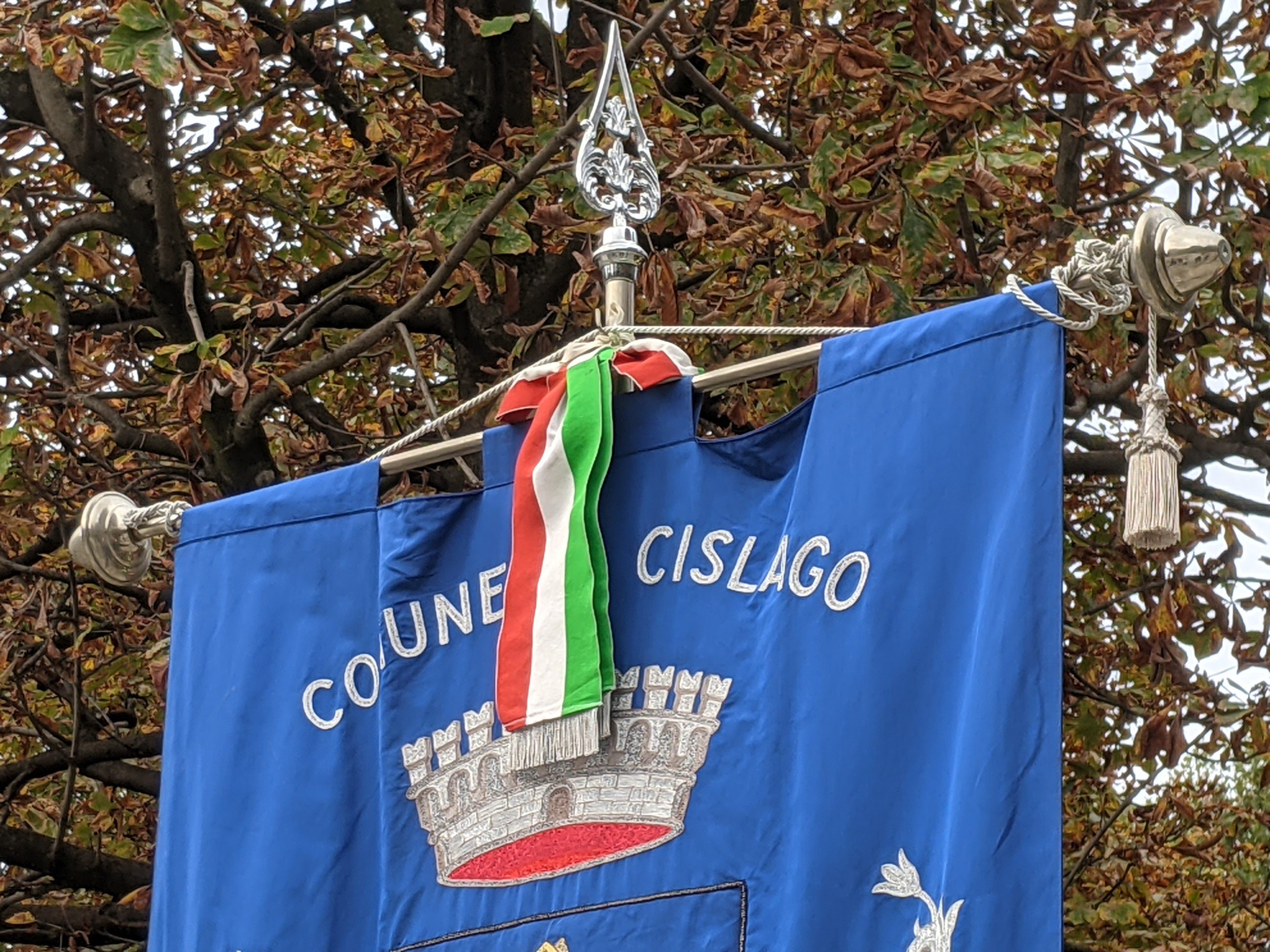 Cislago, a Villa Isacchi una giornata dedicata ai rondoni cislaghesi