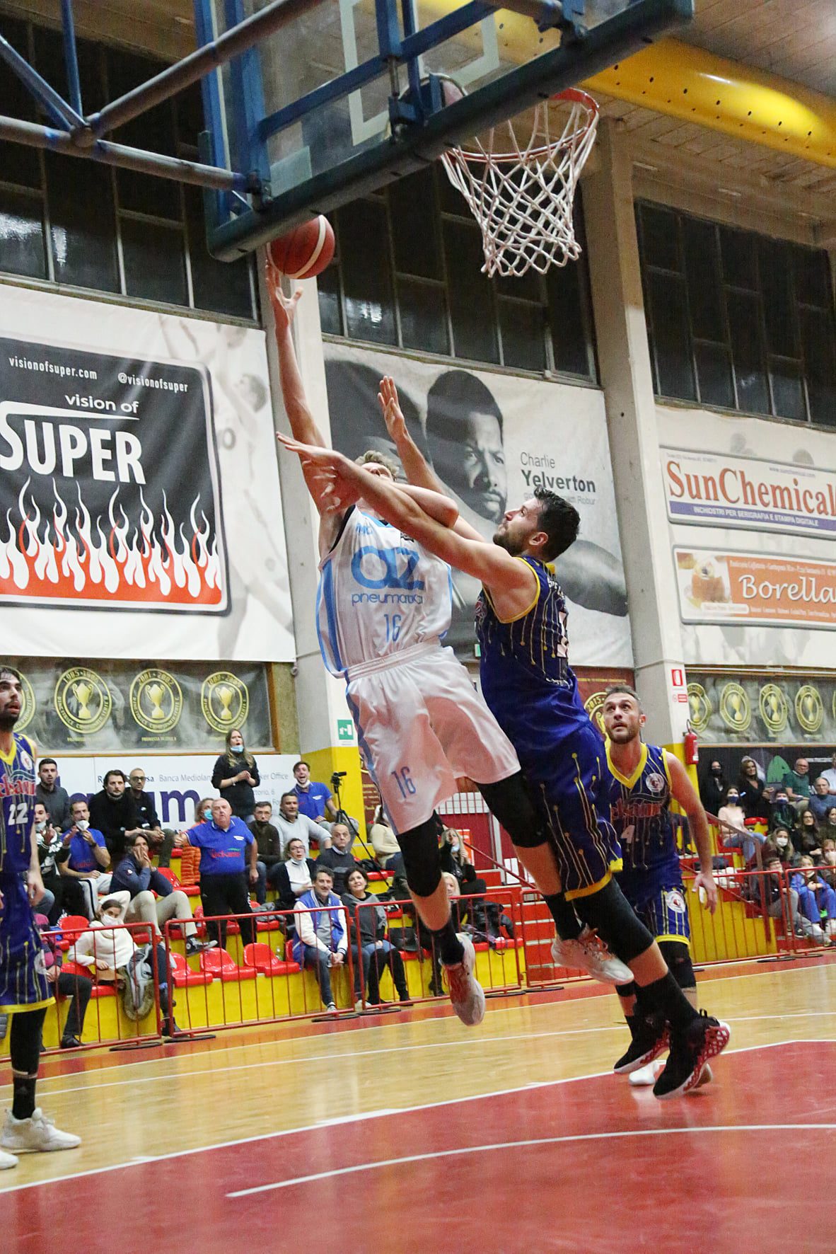 Basket C Gold, stasera Az Saronno ospita il Gallarate per chiudere il girone d’andata con la scia positiva