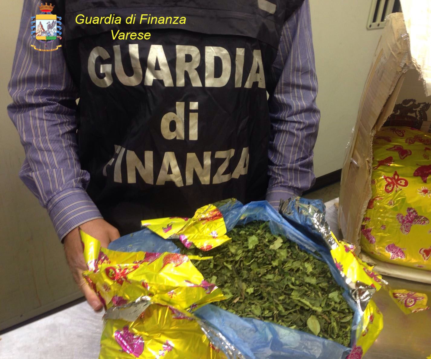 Quasi 2 tonnellate di droga sequestrate dalla GdF di Varese con l’operazione “Home delivery”