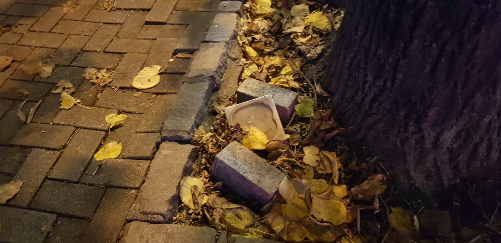 Saronno, piazza Cadorna sconnessa e piena di foglie: rischio caduta per i pedoni