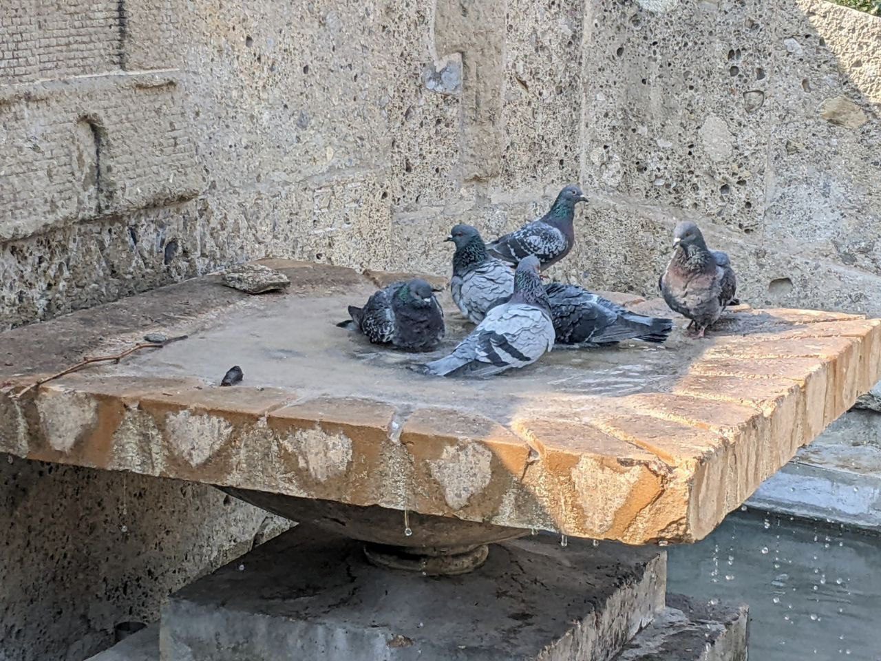 20220325 fontana via primo maggio viale santuario piccioni (1)
