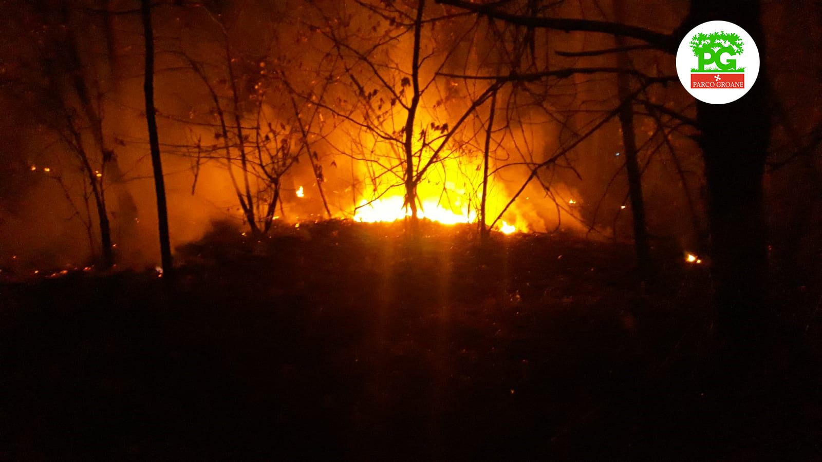 Incendio al Parco Groane: mobilitati 16 volontari del Parco e 5 squadre dei vigili del fuoco