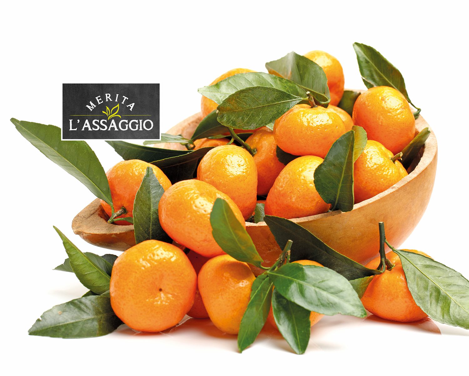 Una dolce nota dalla Sicilia: il mandarino tardivo di Ciaculli Merita l’Assaggio di TIGROS