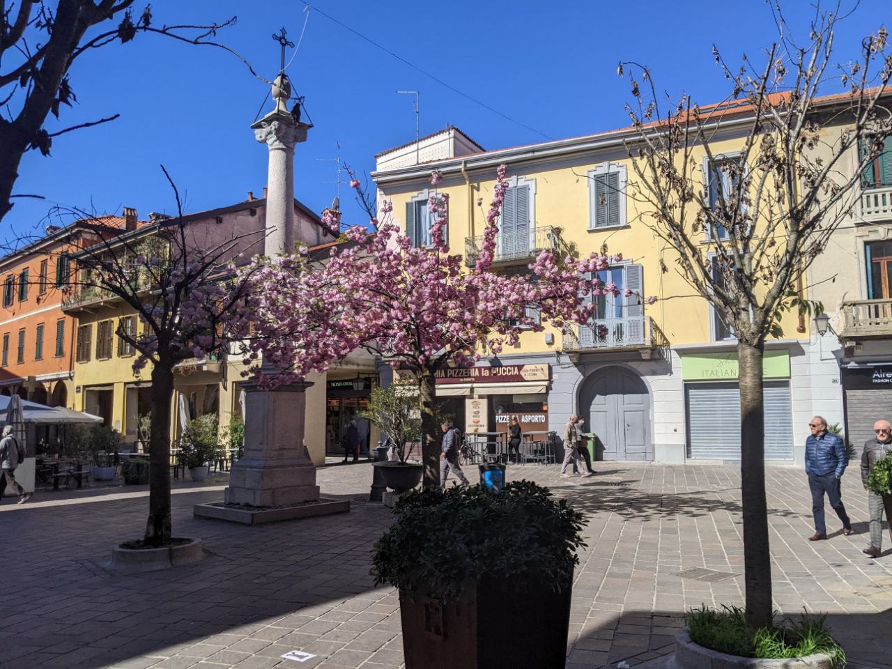 Ieri su ilS: barbecue abusivo sotto il monumento, ultimi scatti per fioritura rosa in piazzetta Croce, Ob Sar conferma le dimissioni alla Focris