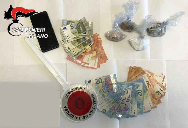 armi-e-droga-sequestrata-parco-groane-carabinieri-01042022