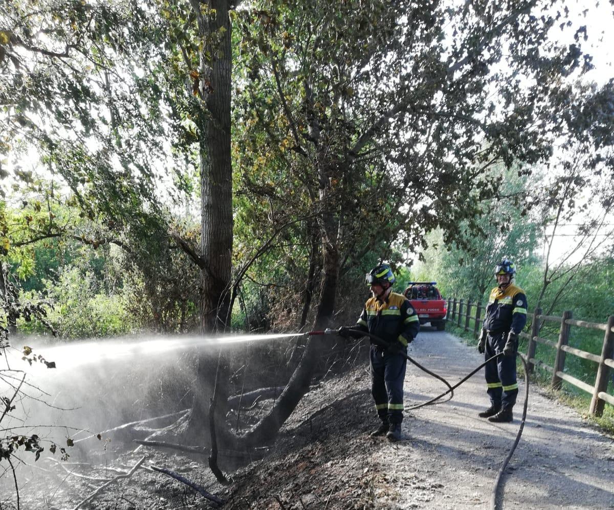 Ancora fiamme nelle Groane: intervengono i volontari