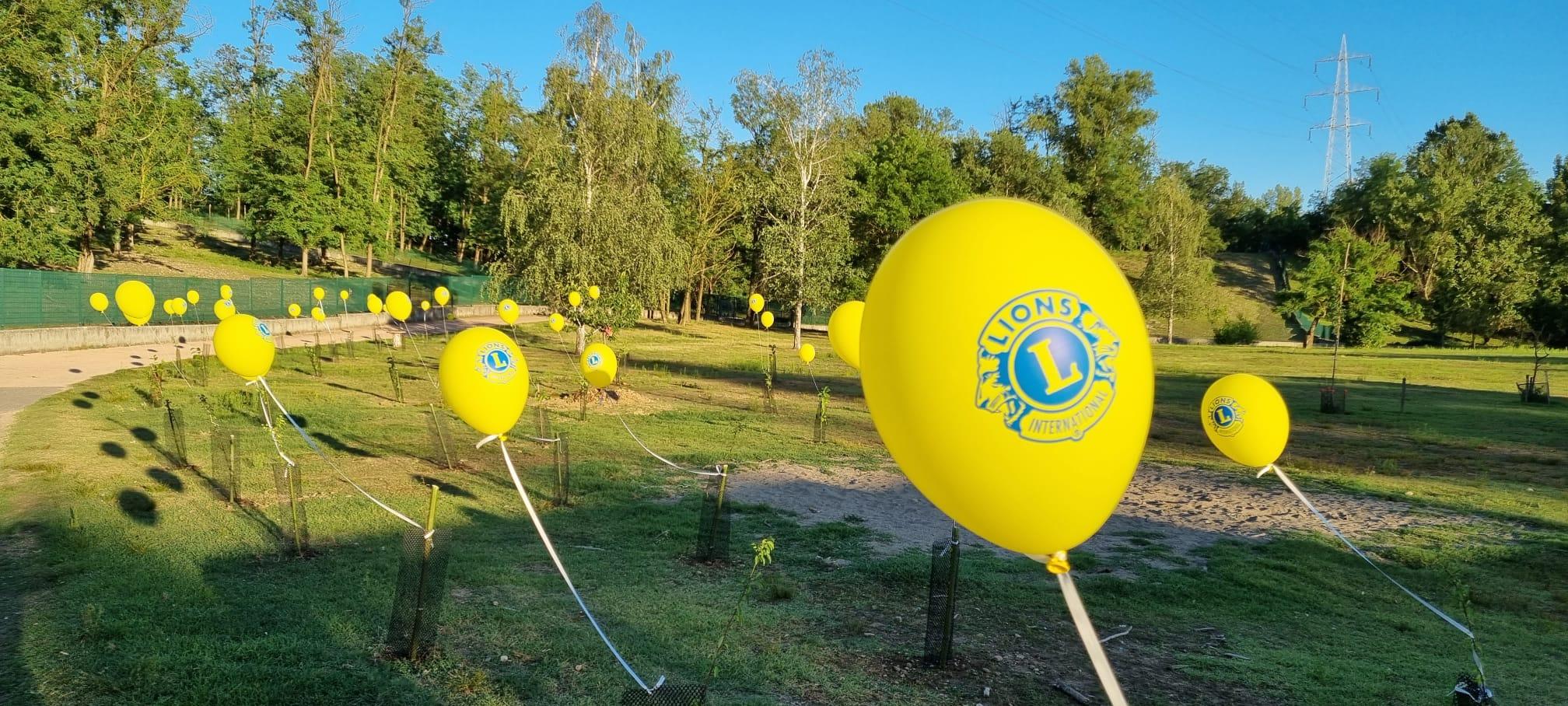 Nasce il Lions club Basso Varesotto: “Solidarietà e lustro per Gerenzano”
