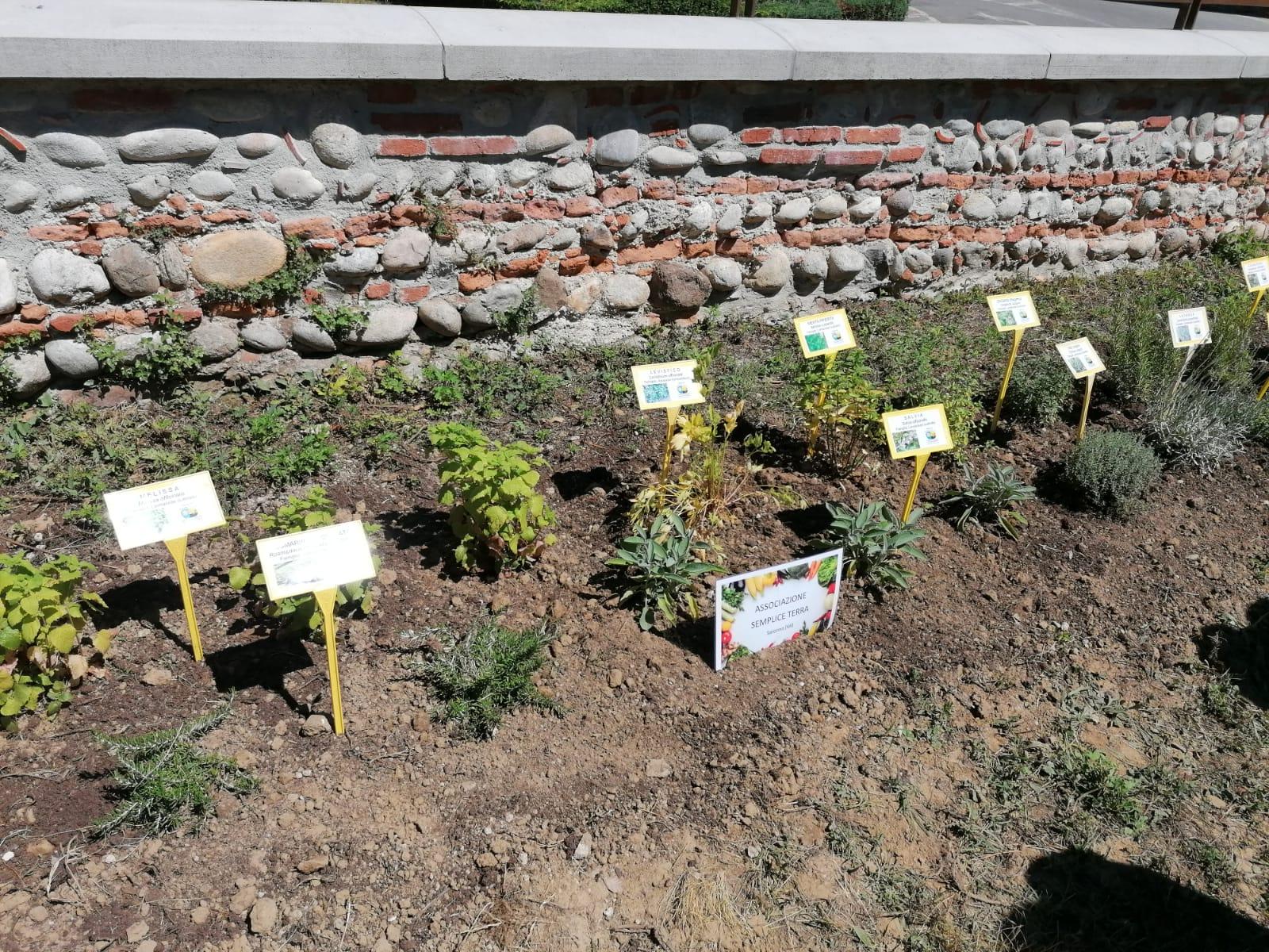 Saronno, l’orto botanico al parco de Rocchi ora è una realtà