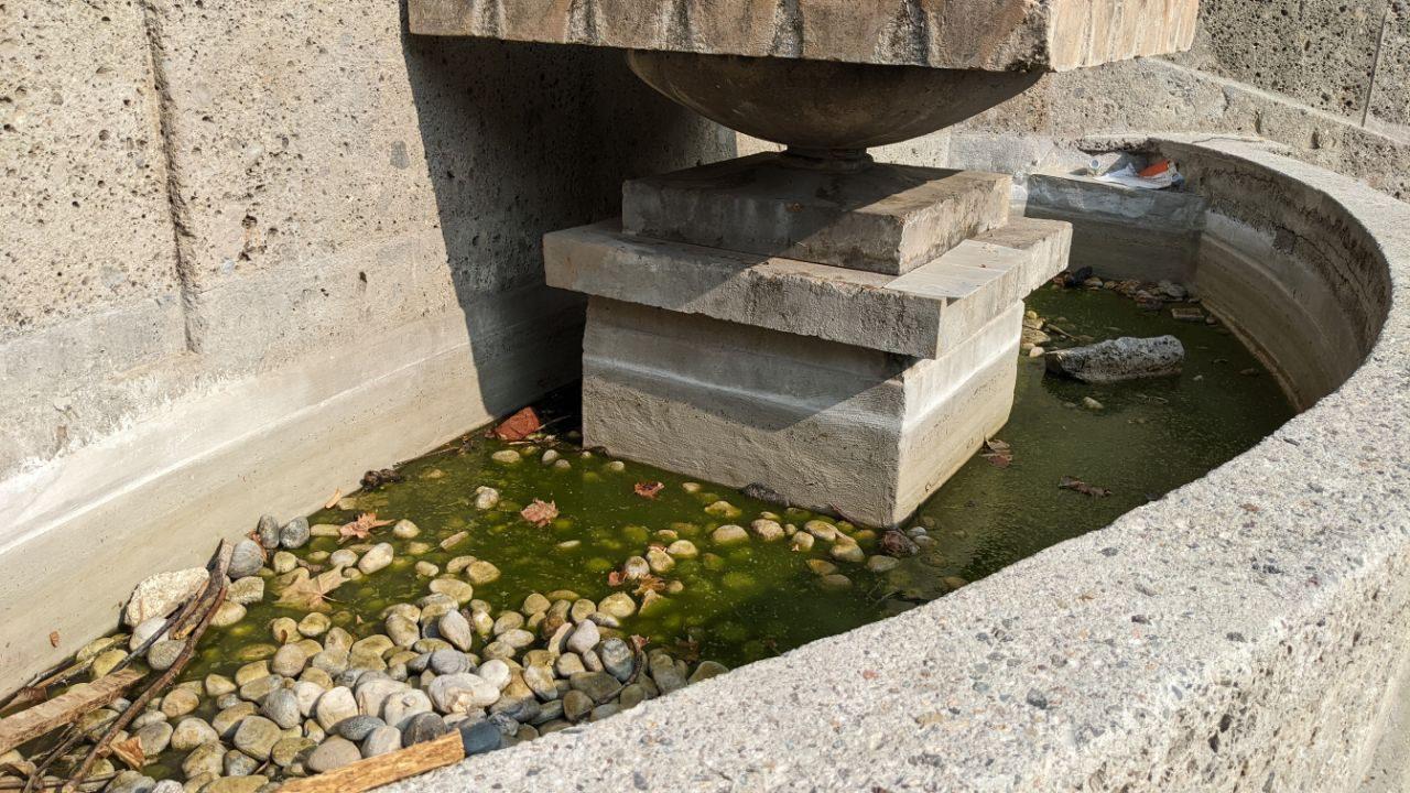 Saronno, appello per la fontana: “Salvati i girini, è ora di eliminare il degrado”
