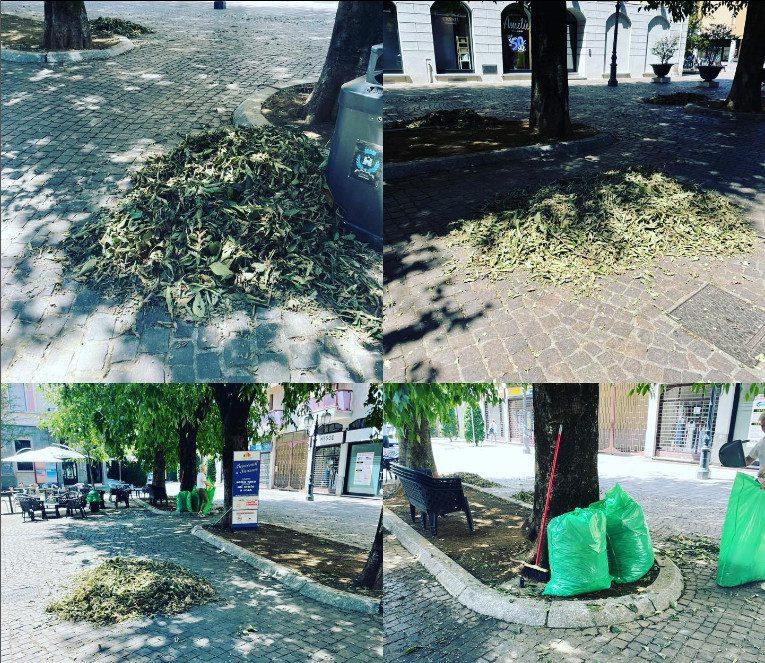 Dopo la maxi grandinata, Castelli (Lega): “I cittadini stanno pulendo le strade da soli. Dov’è Casali?”