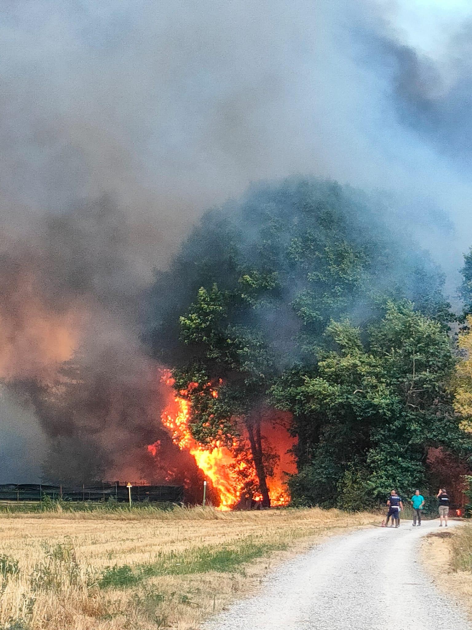 Incendio Cascina Colombara di Saronno: ore di paura, fumo acre e oggi la conta dei danni