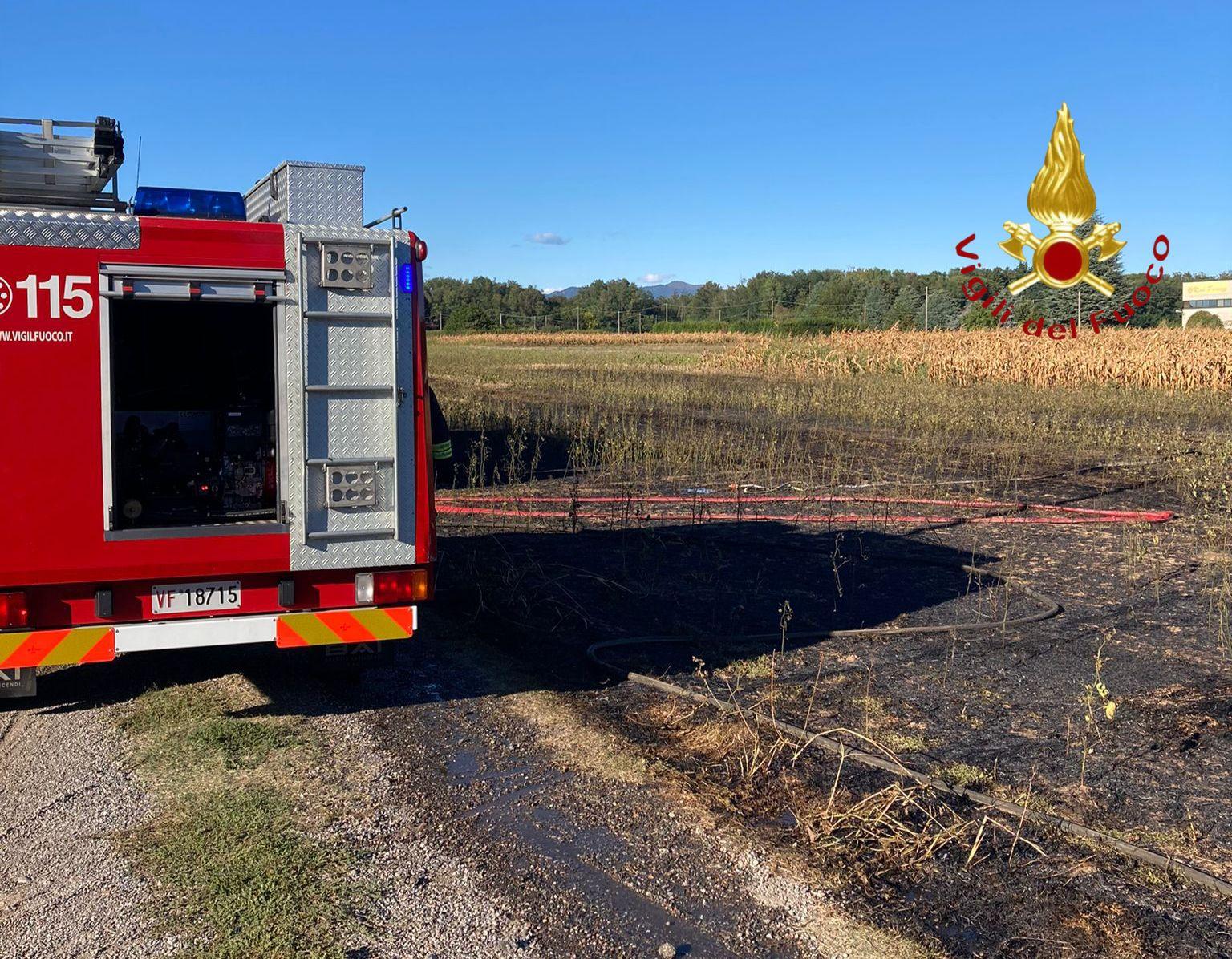 Incendio campo di grano lungo l’autostrada A9: il fumo rallenta il traffico