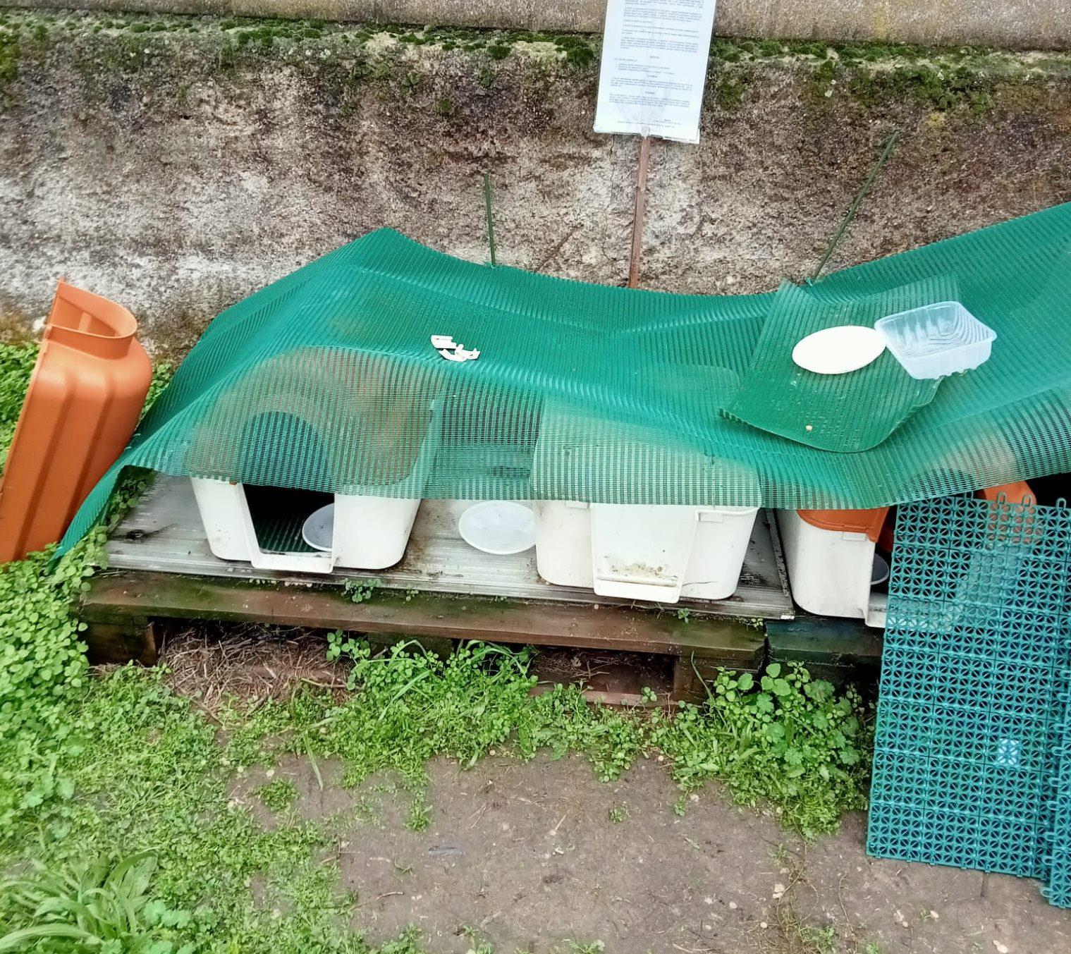 Colonia felina, vandalizzate le cucce di via Arese