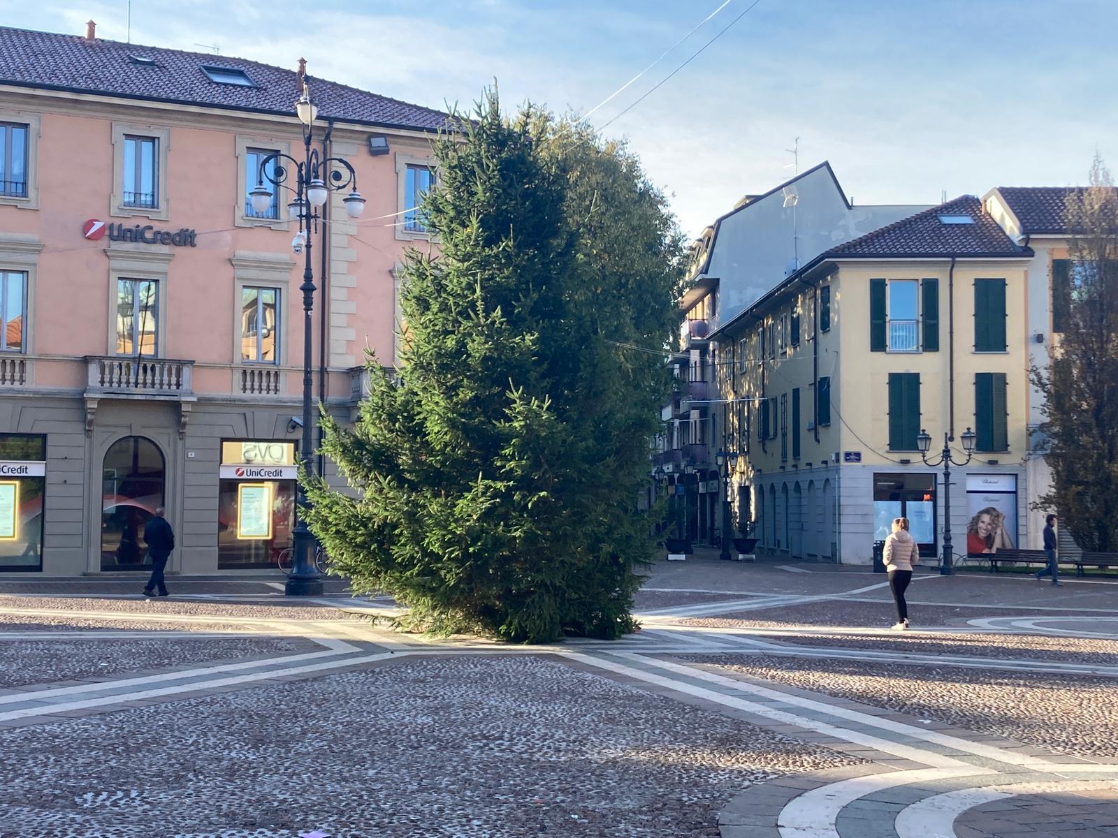 Saronno, arriva l’albero di Natale in piazza (le prime foto)