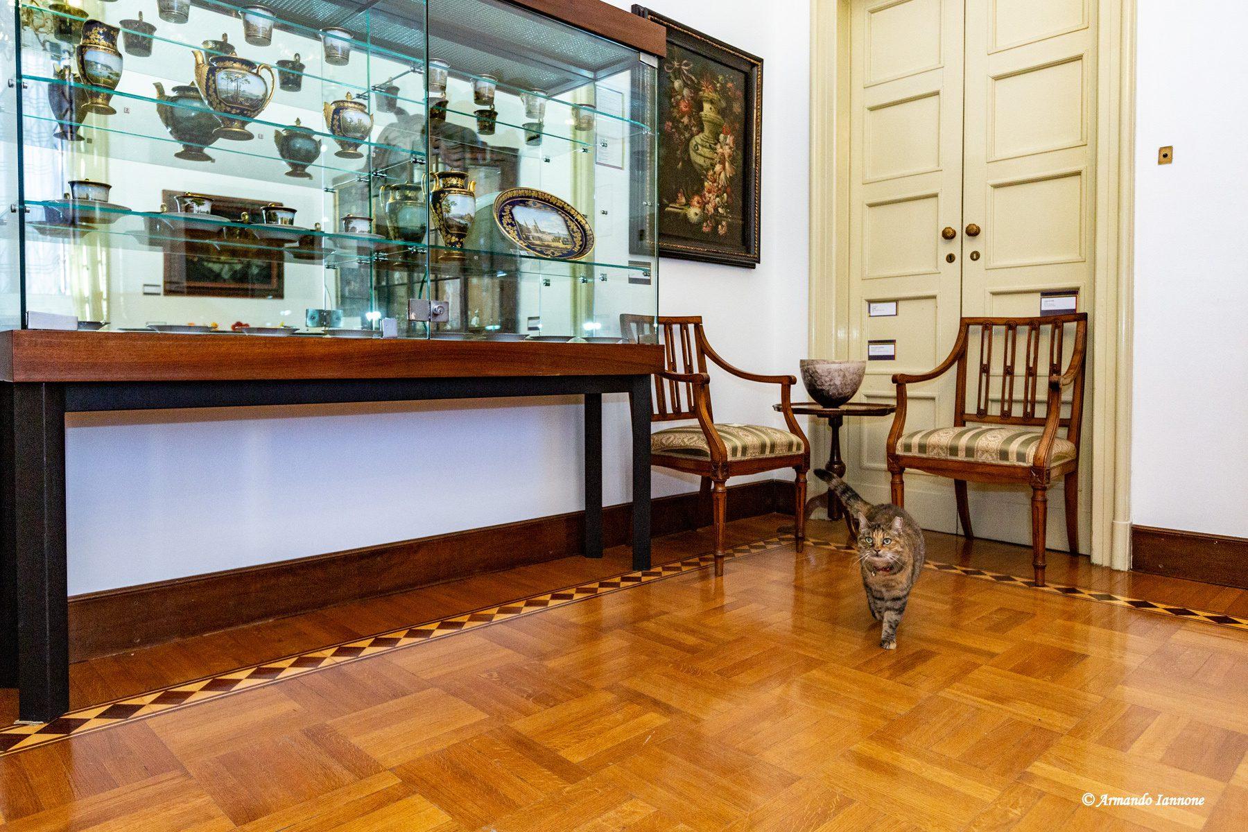Calendario Avvento: museo Gianetti, 1 dic “La gatta Bella con il servizio Bellotto”