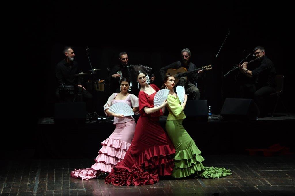 20230213-Flamenco-Edio-Bison-11