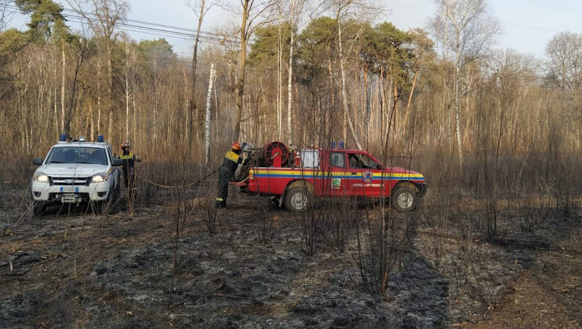 Il bilancio delle fiamme al Parco Groane, 9 ettari danneggiati. Ma poi la natura regala una sorpresa…