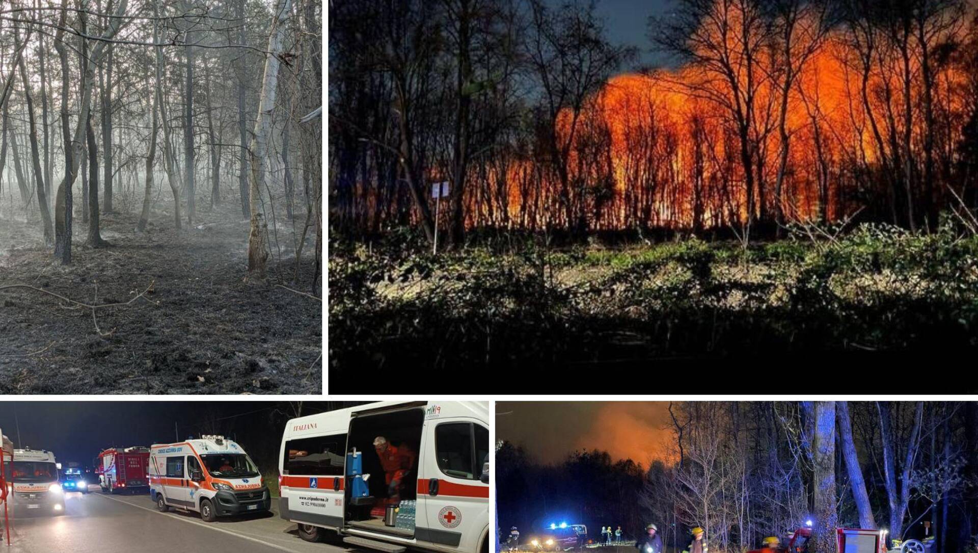 Incendi boschivi, per l’ex pres del Parco Groane c’è un piromane