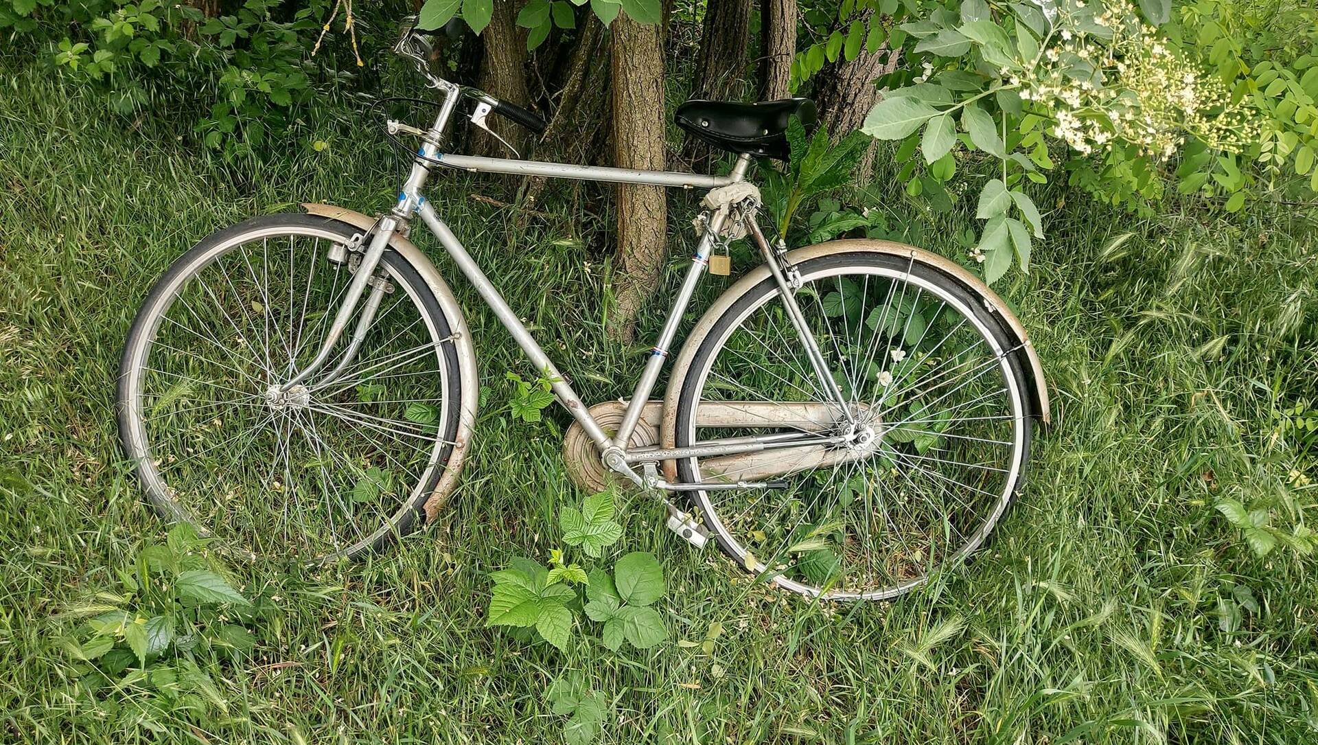 Caronno Pertusella: di chi è la bici abbandonata nel verde?