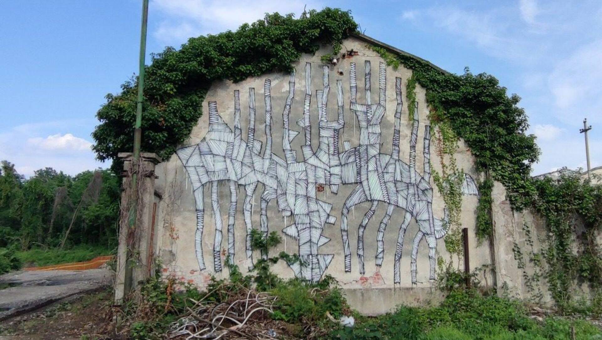 Saronno, all’ex Isotta scompaiono i murales artistici. Ma c’è un perchè…