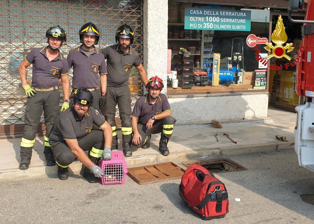 Gattini nelle tubazioni, li salvano i pompieri