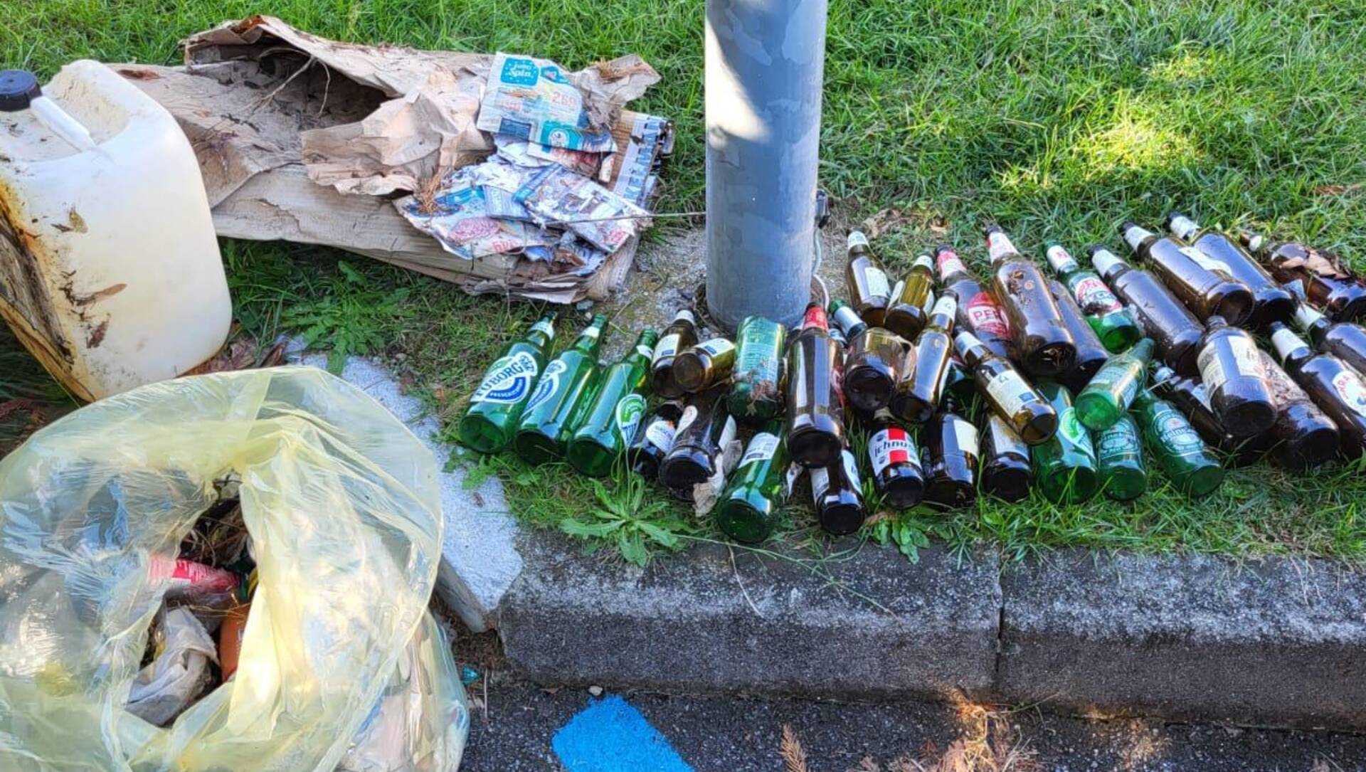 Legambiente pulisce Saronno con Terra Mater: mozziconi, cartacce e tante, tante, tante lattine e bottiglie