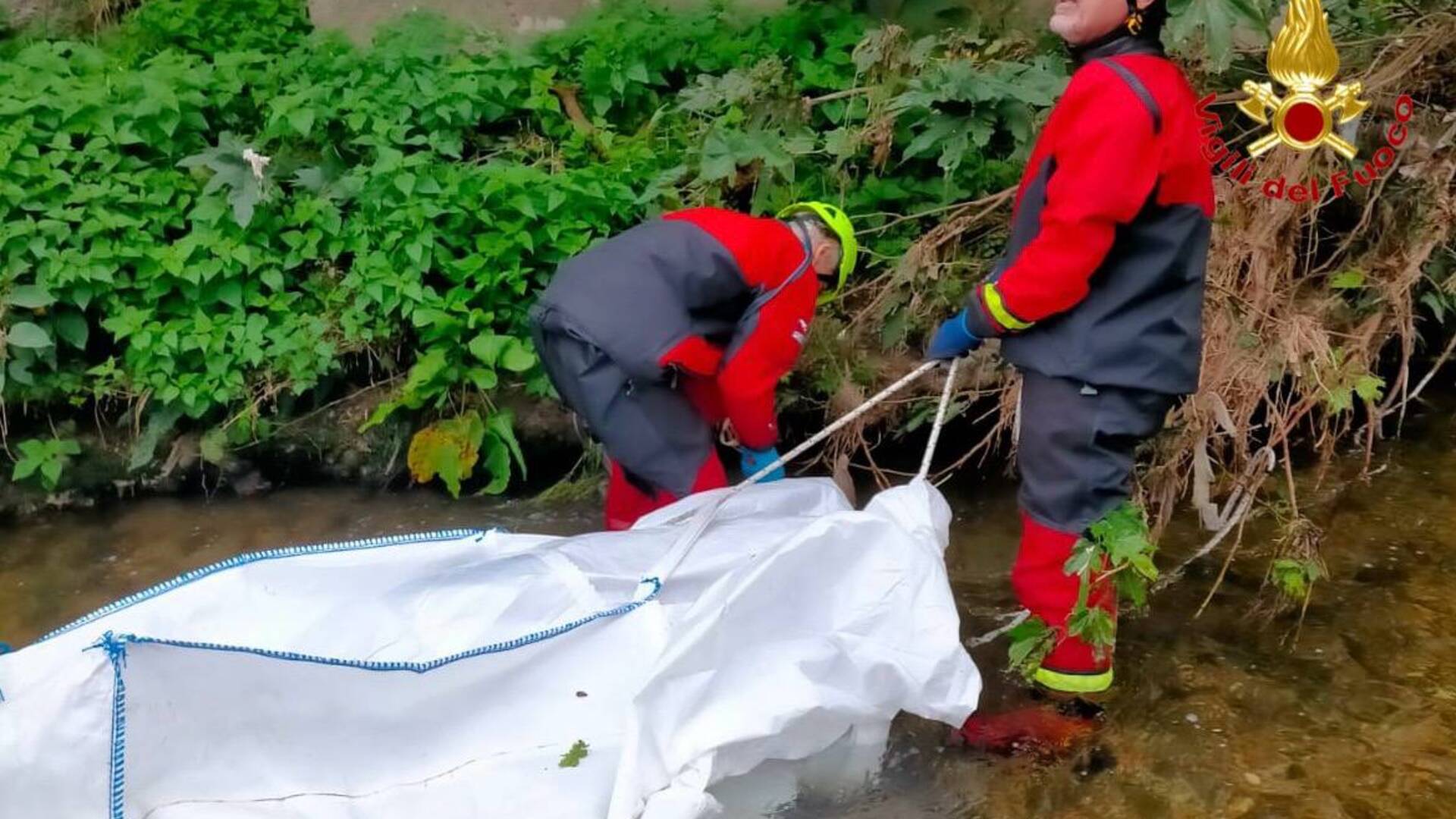 Tradatese: carcassa di cinghiale nel fiume, la recuperano i vigili del fuoco