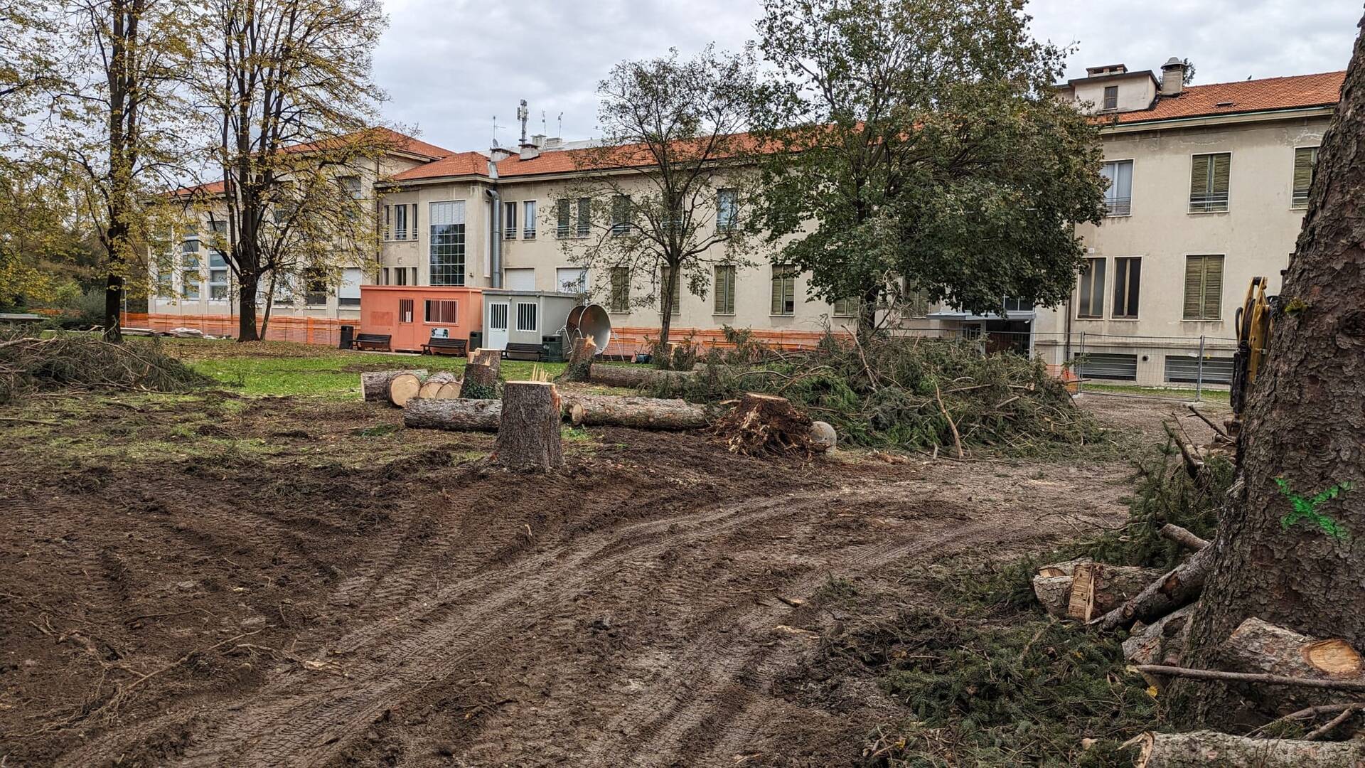 Ex Seminario, Ob sar: “12 alberi sani abbattuti per far spazio al progetto. Cosa ne pensa il comitato salva via Roma?”