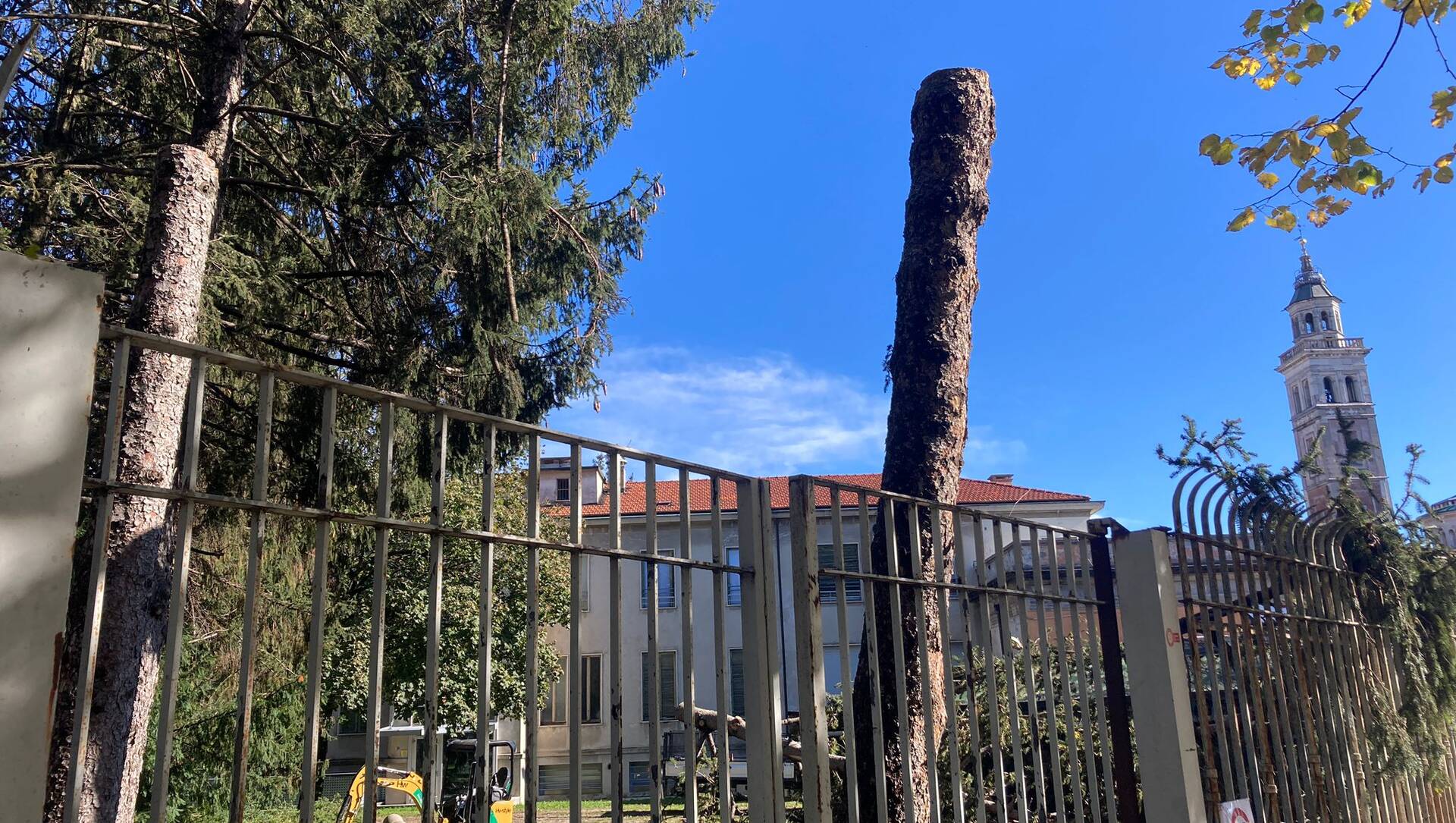 Saronno, lanciata una petizione per salvare gli alberi e l’identità del parco dell’ex Seminario