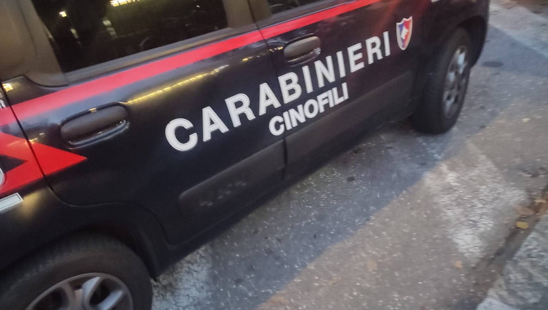Saronno, controlli in centro dei carabinieri col cane antidroga: scattano le denunce