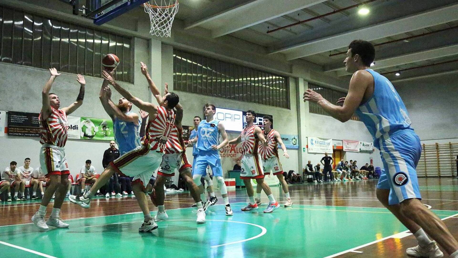 Basket serie B: oggi derby Az Saronno-Varese
