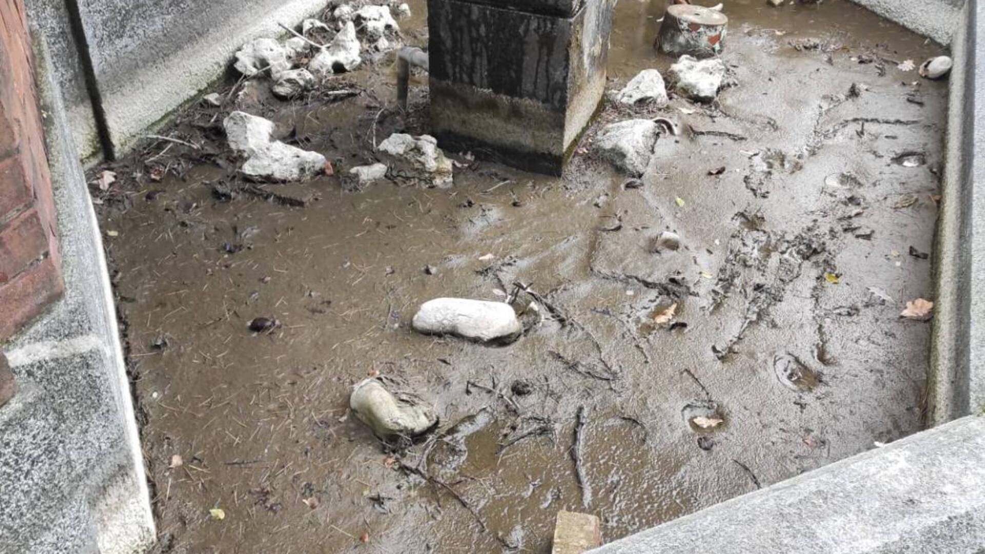 Rovello Porro, i vandali hanno rotto la fontana e fatto morire i pesci rossi