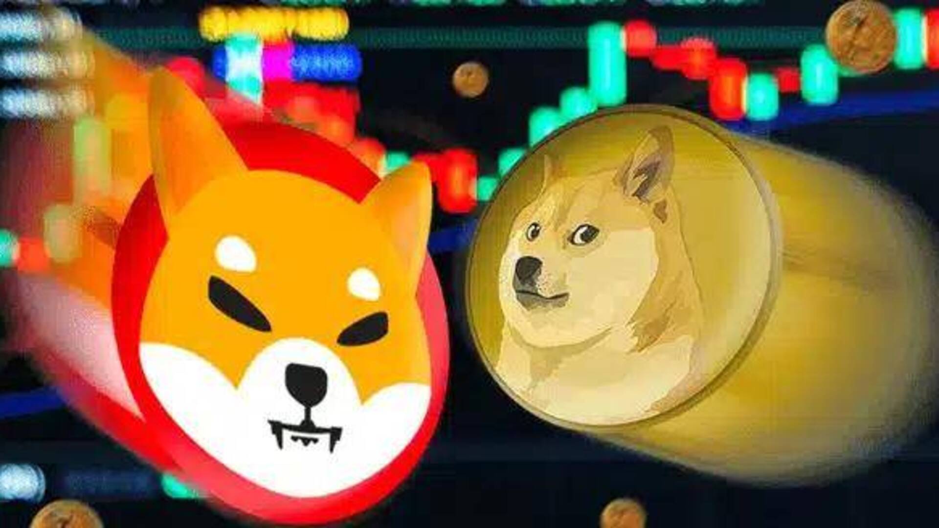 Dogecoin e Shiba Inu in ascesa nel 2024 anche se queste due meme coin potrebbero superarli