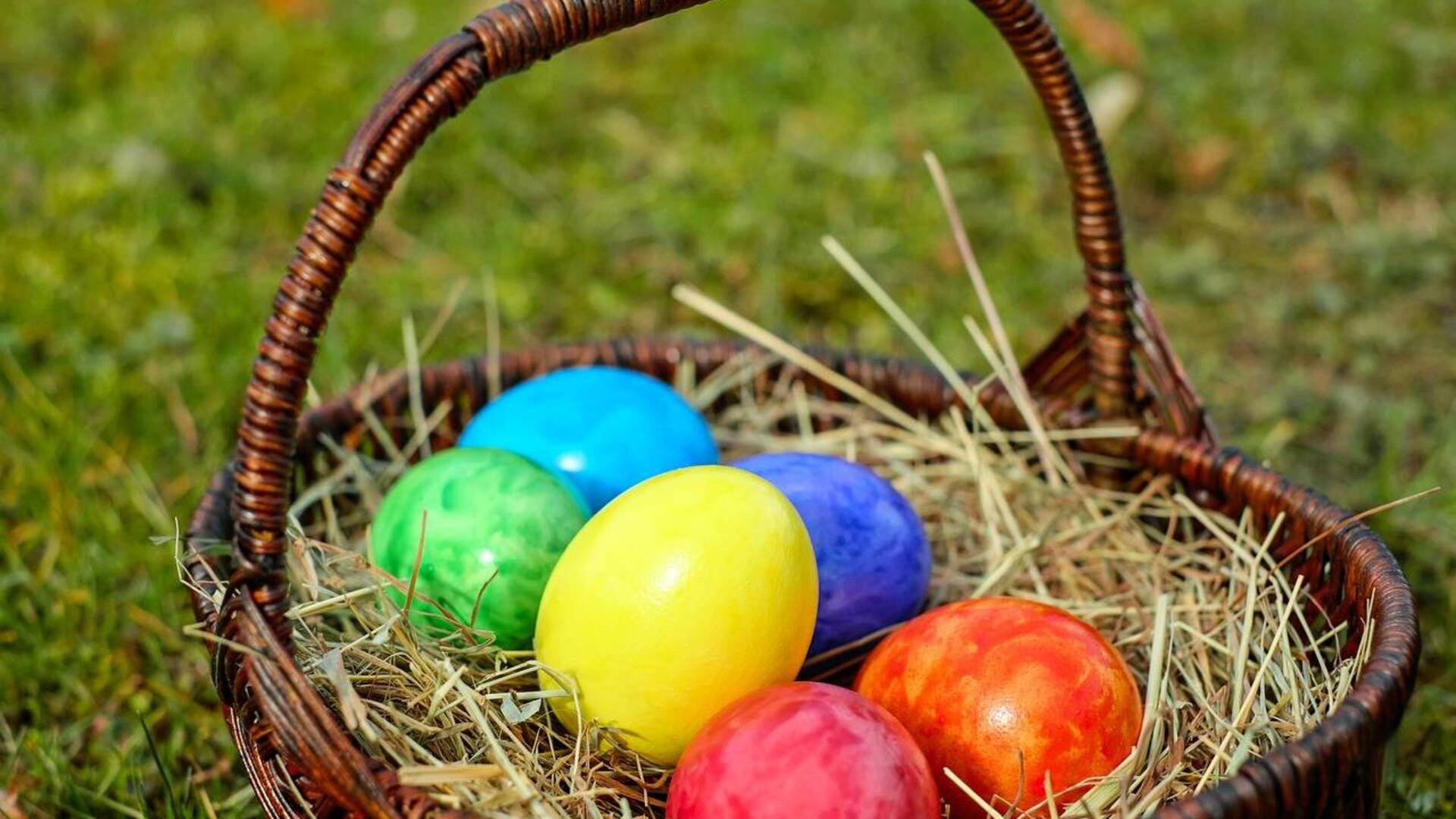 Caccia delle uova di Pasqua: giochi a Dal Pozzo